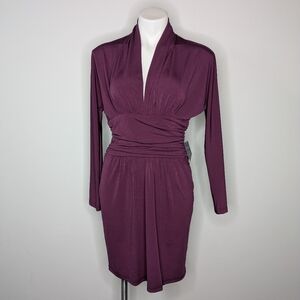 NWT Boston Proper purple long sleeve v neck knee length dress S